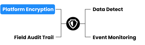 Platform Encryption