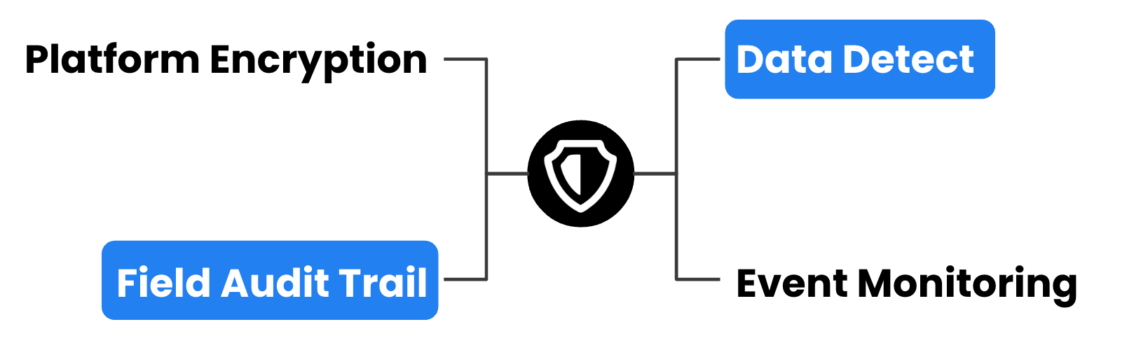 field audit trail & data detect